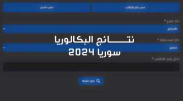 إعلان النتائج الامتحانية 2024 عبر تطبيق نتائج البكالوريا السورية