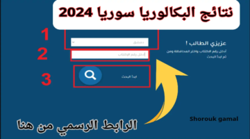 مباشر نتائج البكالوريا سوريا 2024 حسب الاسم وموعد ظهورها