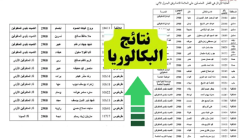 الاكتتاب استعلم نتائج البكالوريا سوريا 2024 عبر موقع وزارة