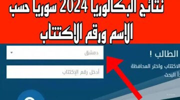 الاكتتاب نتائج البكالوريا سوريا 2024 جميع المحافظات عبر Moedgovsy