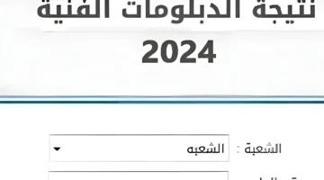 الجلوس استعلام عن نتيجة الدبلومات الفنية بوابة التعليم الفني