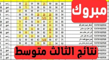 تنزيل Pdf كشوفات نتائج الثالث متوسط 2024 الدور الاول