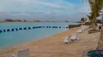 على ساحل البحر الأحمر