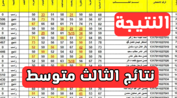 ظهرت نتائج الثالث متوسط Pdf بغداد وكربلاء وأربيل والأنبار