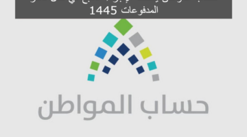 المواطن يكشف الإجراء المتبع في حال تأخر المدفوعات 1445