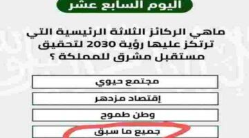 سؤال ما هي الركائز الثلاثة الرئيسية التي ترتكز عليها