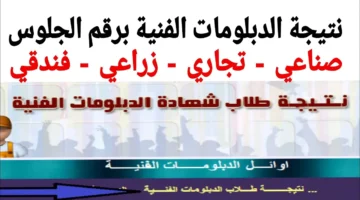 وتجاري وزراعي وفندقي الآن رابط نتيجة الدبلومات الفنية 2024