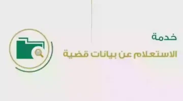 الاستعلام عن قضية برقم القضية في السعودية 2024 كيف