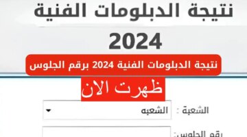 الآن نتائج الدبلومات الفنية 2024 ورابط الحصول عليها