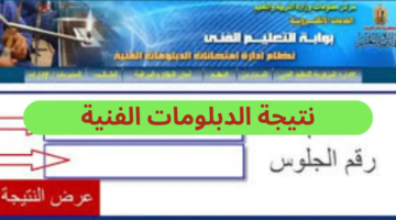 الآن نتيجة الدبلومات الفنية 2024 زراعي تجاري صناعي برقم