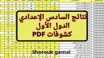 Pdf نتائج السادس الإعدادي بالعراق 2024 علمي و أدبي