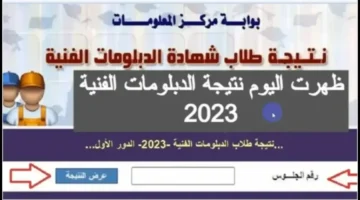 نتيجة الدبلومات الفنية 2024 برقم الجلوس اليوم السابع جميع