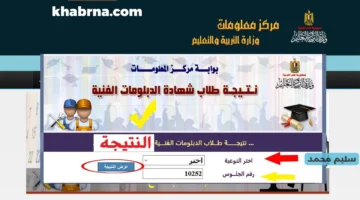 نتيجة الدبلومات الفنية 2024 برقم الجلوس صنايع وتجارة وزراعة