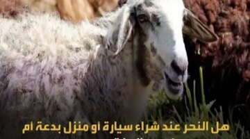 حكم النحر عند شراء سيارة أو بناء منزل جديد