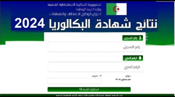 هنا خطوات الاستعلام عن نتائج البكالوريا في الجزائر 2024