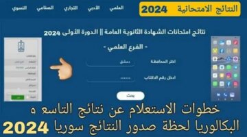 التربية السورية نتائج البكالوريا حسب الاسم Moedgovsysite