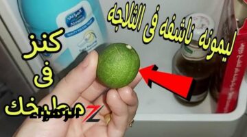 متعددة عمرها ما خطرت على بالك لو عندك نصف