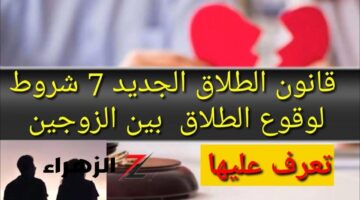 مبقاش بالساهل7 شروط وضعتها الحكومة لوقع الطلاق بين الزوجين