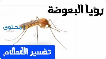 رؤية قتل البعوض فى الحلم بالتفصيل