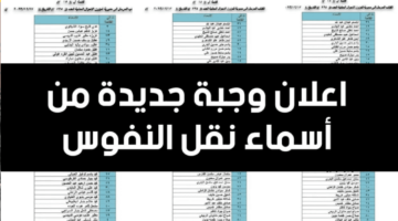 الاستعلام عن نقل نفوس 2024 والشروط المطلوبة للقبول