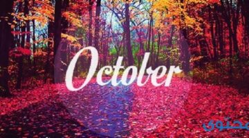 أكتوبر كم يوم October ؟