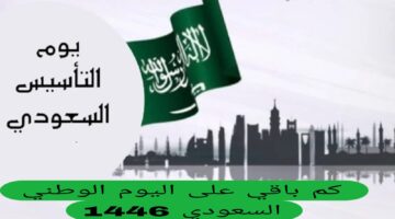 باقي على اليوم الوطني السعودي 1446؟ ومشاهد الاحتفال في