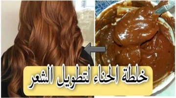 شعرك مبيطولش تعالي أقولك على خلطة الحنة اللي هتخلي