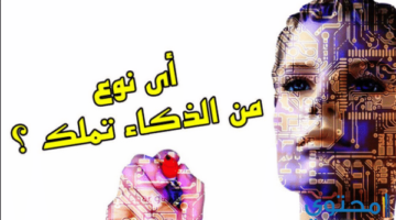 هي أنواع الذكاء وما الفرق بين كل نوع