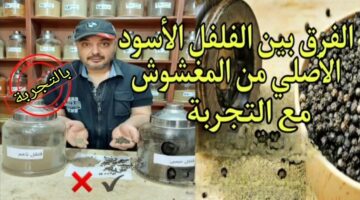 حد ينصب عليك ويغفلك طريقة عبقرية ازاي اعرف الفلفل