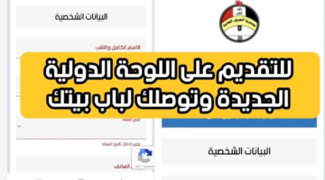 هنا كيفية الحصول على استمارة التقديم في خدمة لوحتك