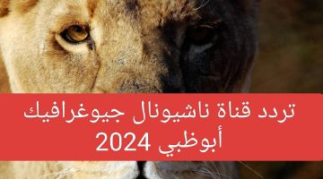 بجودة عالية تردد قناة ناشيونال جيوغرافيك 2024 نايل سات