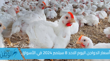 الأبيض والبلدي أسعار الدواجن اليوم الاحد 8 سبتمبر 2024