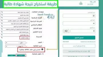 نظام نور للاستعلام عن نتائج الطلاب 1446