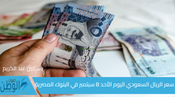 الريالات بكام سعر الريال السعودي اليوم الأحد 8 سبتمبر