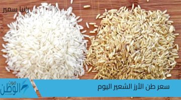 كم؟ سعر طن الأرز الشعير اليوم السبت 792024 في